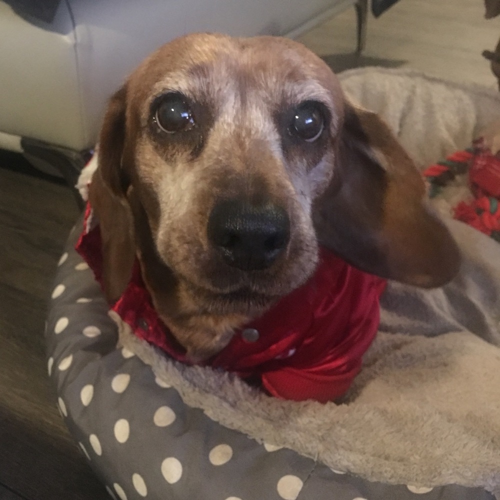 Meet your Posher, Alexandra